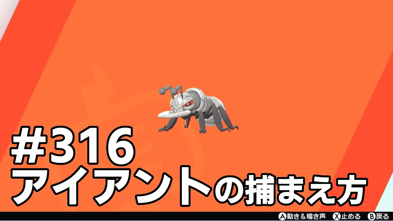 アイアントを探している方に見てほしい動画