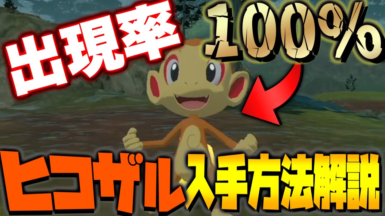 出現率100％！ヒコザルを超簡単に確実にゲットできる方法を紹介します！！【Pokémon LEGENDS アルセウス】【レジェンズアルセウス】