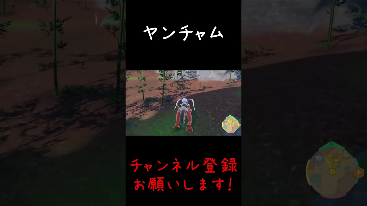 【ポケモンSV】ヤンチャムの容量！#Shorts