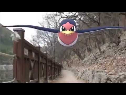 테일로 ( Taillow ) スバメ ( 傲骨燕 ) (16:9)