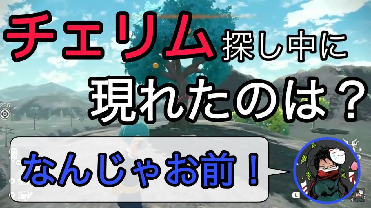 【towaco切り抜き】チェリムを探していたら...【Pokémon LEGENDS アルセウス】