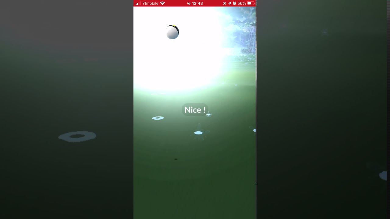 【ポケモンGO】ブイゼルを初ゲット