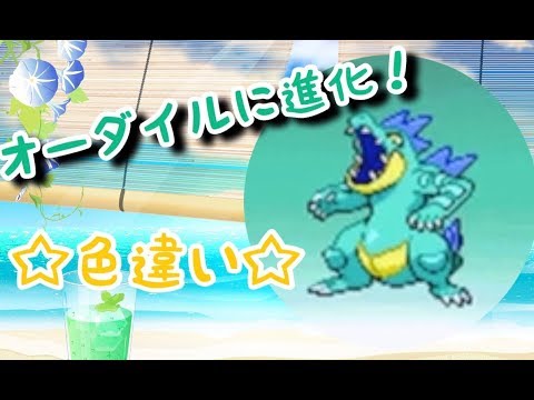 【色違いしか使えないソウルシルバー#3】早くもオーダイルに進化しちゃった笑