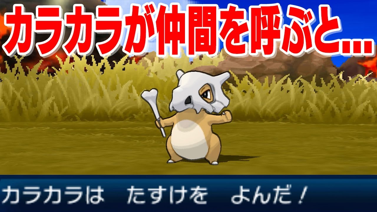 【都市伝説】カラカラが”仲間呼び”をすると死に別れた本当の親ポケモンが出現するらしい【ポケモンUSUM】