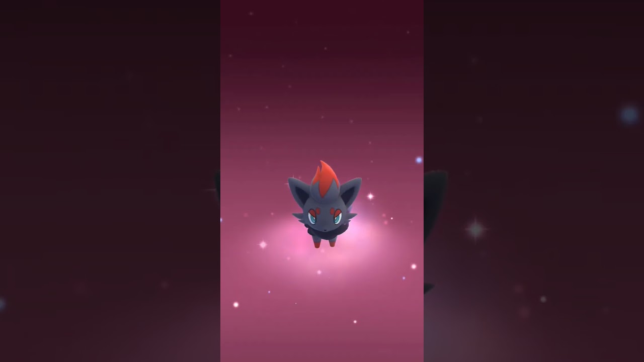 ゾロア出現！！#ポケモンgo #ゾロア