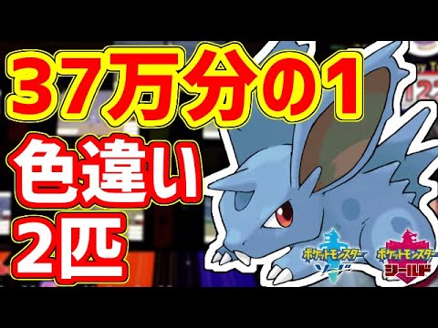 【ポケモン剣盾】37万分の1！色違い動画でバズりたい！！！！
