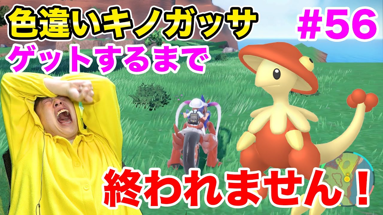 色違いキノガッサゲットするまで終われません！をしたら地獄を見た…#56【ポケモンSV】