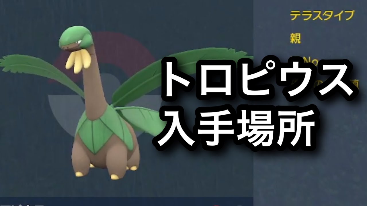 【SV】【速報】トロピウス入手場所