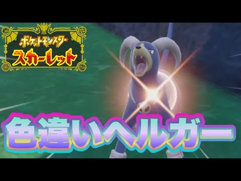 色違いのヘルガーが最高にカッコイイぞ！！　【ポケモンSV】