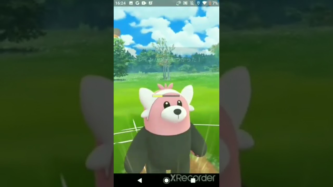 キテルグマと色ちがいヌイコグマだけでロケット団