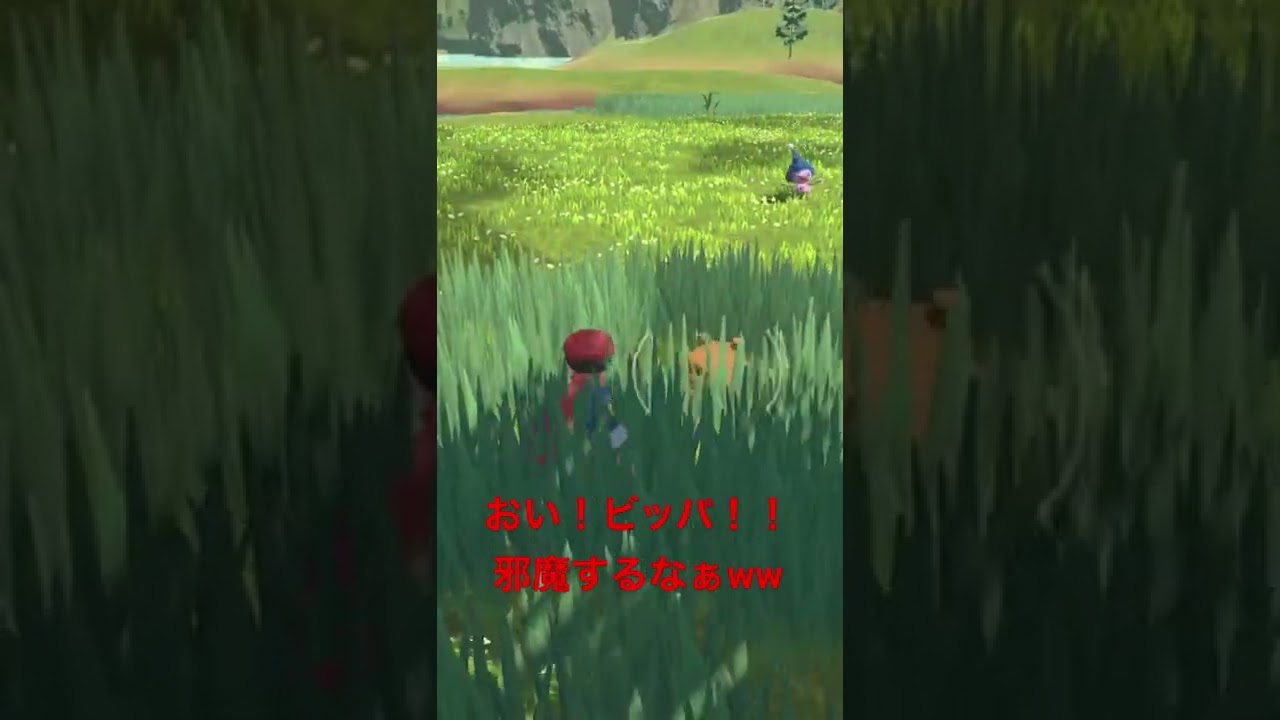 マネネにテンション上がってたら、急に横から懐いてくるビッパww 邪魔ダァ！！w #shorts