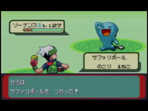 自宅にソーナンスと死にかけのペカチュウを飼う男