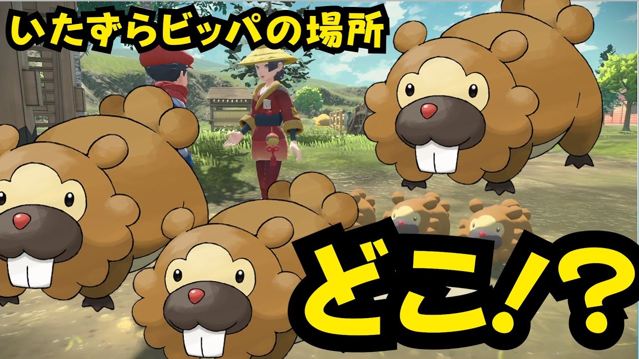 いたずらビッパが見つからない人必見！３匹はどこにいるの？　POKEMONアルセウス　【 27ch 】