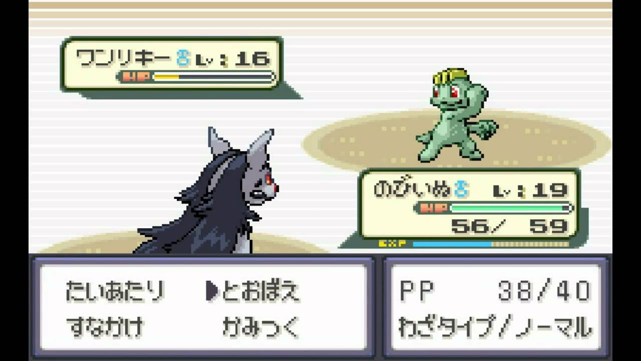 【ポケモン縛り】愛犬ポチエナ（グラエナ）とホウエン地方を制覇の旅 Part.4【ゆっくり有】