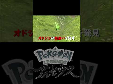 オドシシの色違い！【ポケモンアルセウス】#shorts