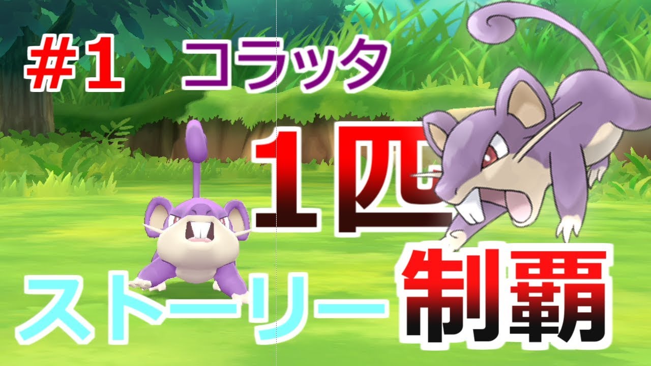 【実況】コラッタだけでクリアするPart1【ピカブイ】