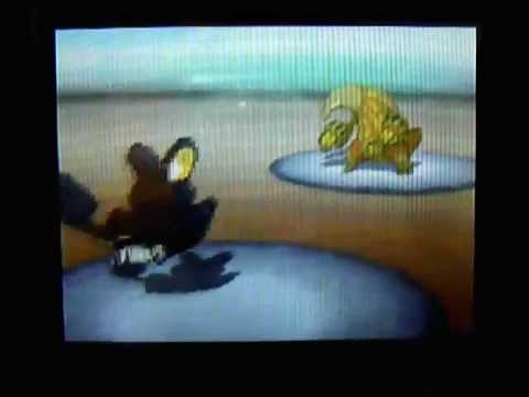 エモンガ：「アンコール～」 - ポケモンBW對戰