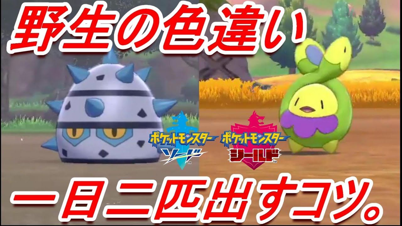 【ポケモン剣盾】野生で色テッシードと色スボミーを一日で出して優勝した動画。