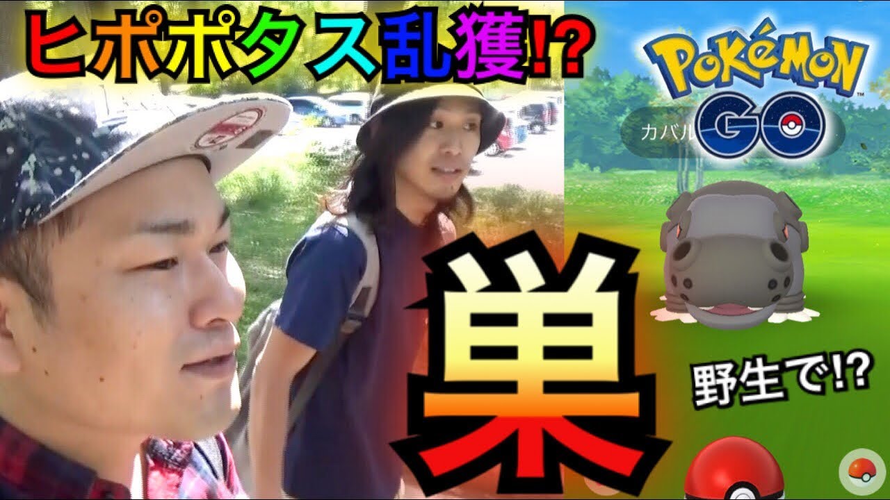 【ポケモンGO】大阪ヒポポタスの巣！◯時間でカバルドン！？【巣の検証】