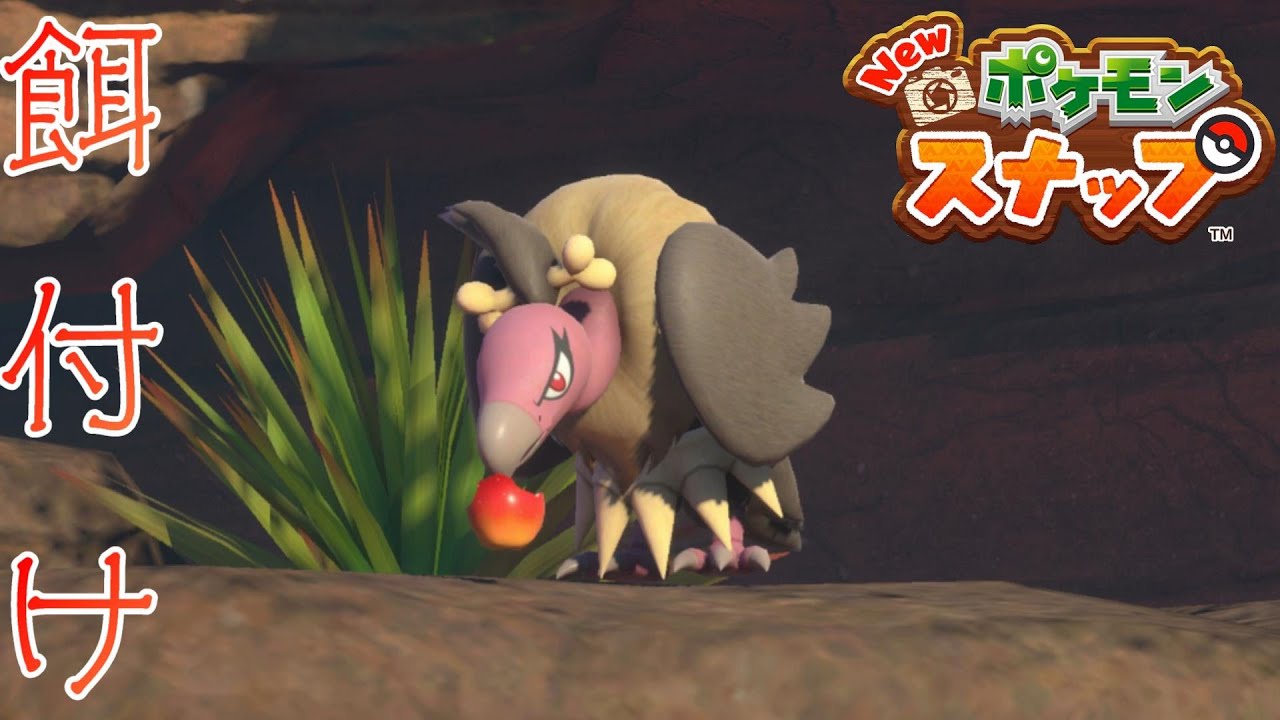 "バルジーナの食卓"【New ポケモンスナップ リクエスト攻略】