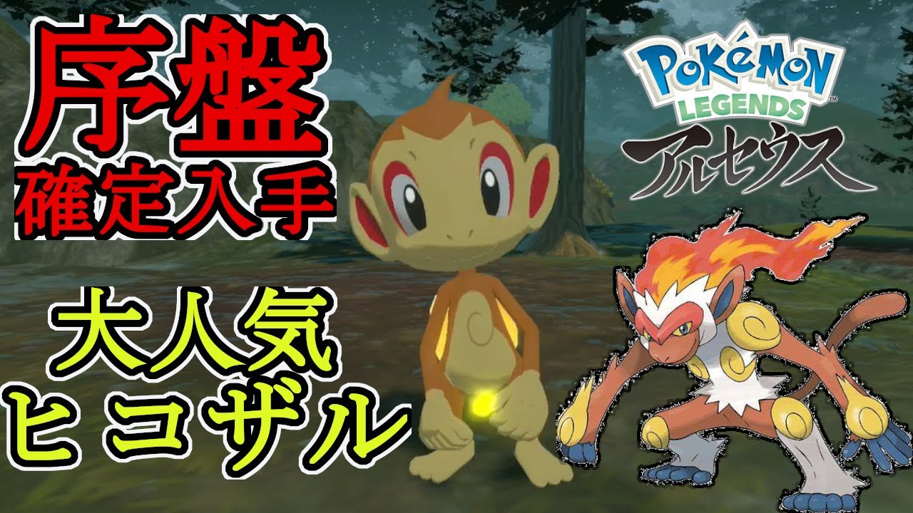 【ポケモンレジェンズアルセウス】序盤でヒコザルを確定入手する方法‼最強のゴウカザルを旅パに加えよう‼詳しい解説付き‼