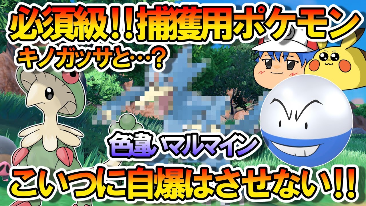 【ポケモンSV】自爆させない捕獲要因‼みずびたしも覚えて捕獲用キノガッサの最高の相棒となるポケモンとは⁉ついでに色違いマルマインもゲット‼