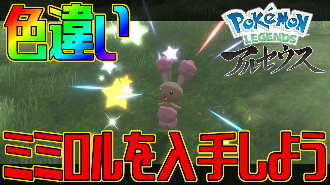 【ポケモンアルセウス】色違いミミロルを入手しよう【Pokémon LEGENDS アルセウス】