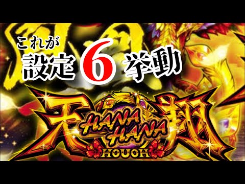 【設定6】ハナハナ鳳凰天翔　設定変更後の挙動は！？《設定6は別格》