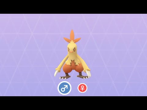 Pokémon GO 256 ワカシャモ