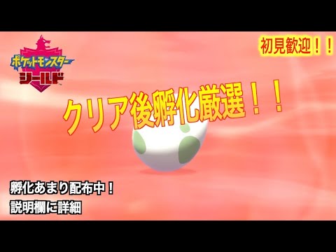 [ポケモン剣盾]ホルビー孵化厳選！孵化あまり配ります！