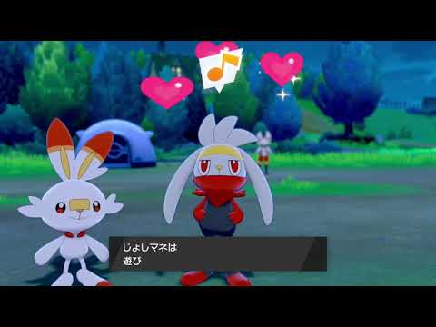 【可愛いが過ぎる！】ヒバニー ラビフット エースバーン サッカーキャンプ【pokemon】