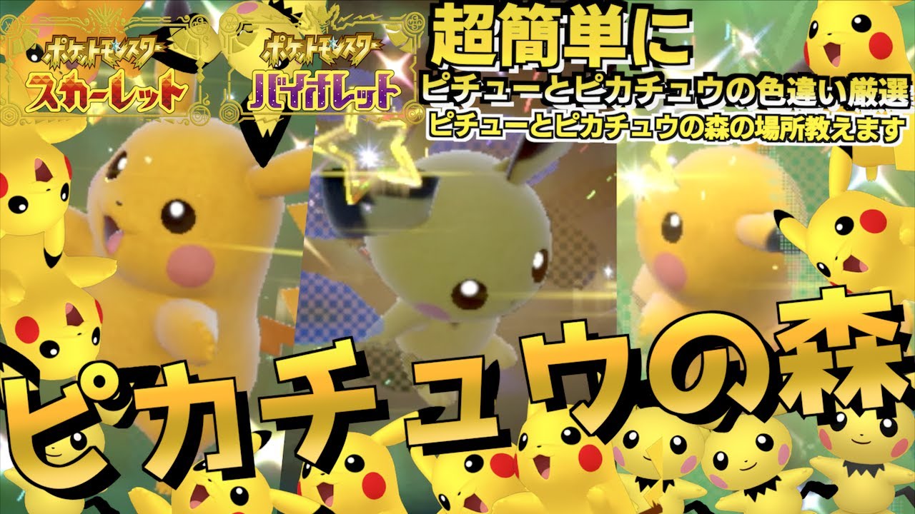 激ムズ案件 色違い判別の難しいピチューの色違い厳選とピカチュウの色違い厳選もできる場所 激ムズ色違いピチューの厳選のやり方などお教えします！！目視判別まじキツイぞ【色違い】【 ポケモンSV 】