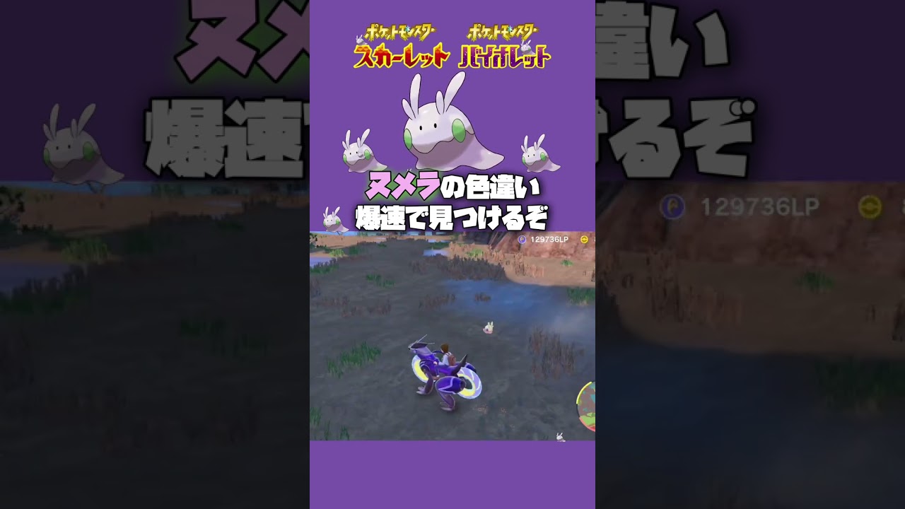 塩スパイスなしでヌメラの色違い爆速で見つけるサンドウィッチメニュー【ポケモンsv】#shorts