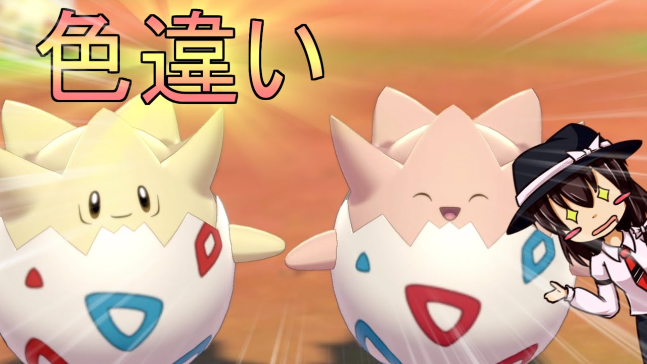 【ポケモン剣盾３】国際孵化で相棒の色違いトゲピーゲット？！