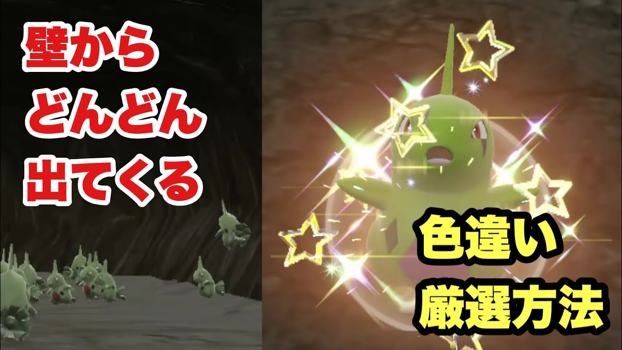 ヨーギラスやタツベイがポケモンが壁からどんどん出てくる色違い厳選方法スパイス無しは大嘘！スパイスはいります騙されないで【ポケモンSV】ポケットモンスタースカーレットバイオレット