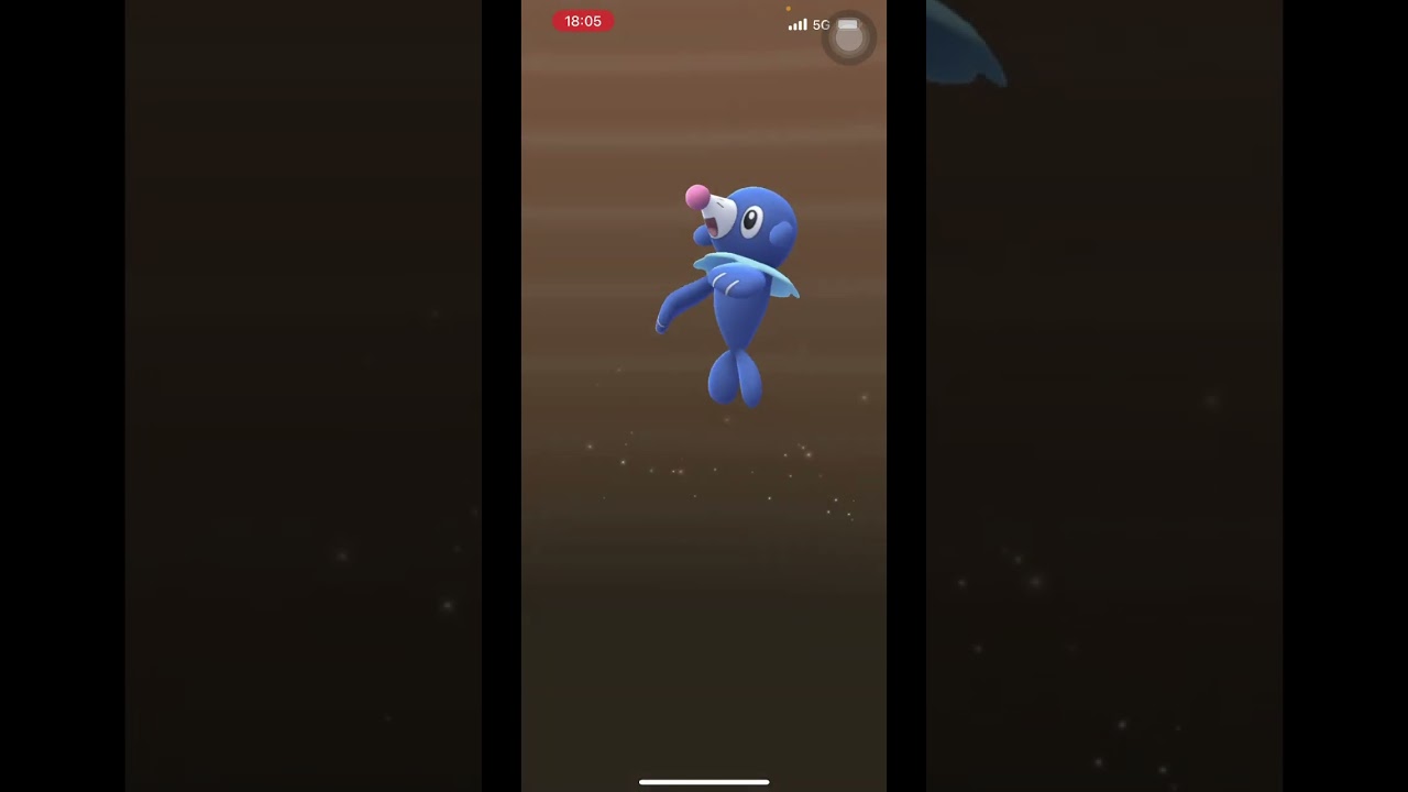 Pokémon go 5km egg #728 球球海獅アシマリPopplio #pokemon #寶可夢 #ポケモン