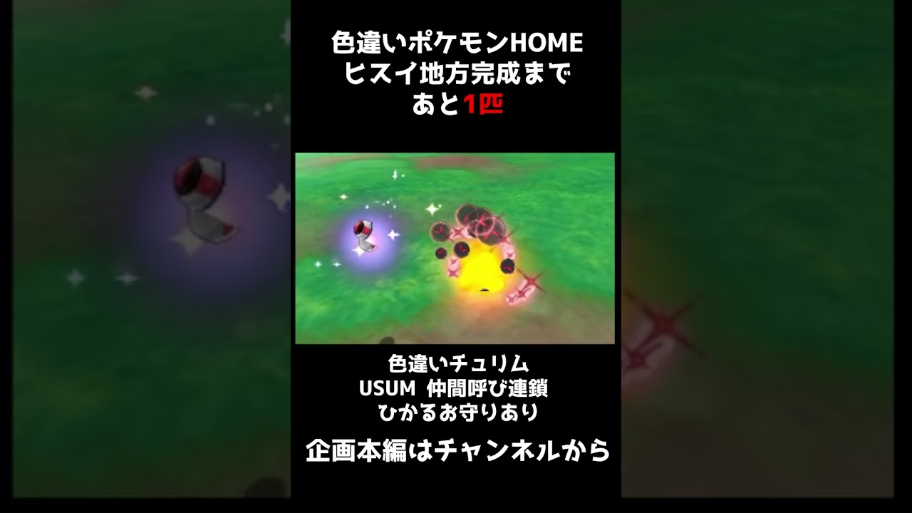 【ポケモンUSUM】ヒスイ地方色違いコンプまであと1匹！色違いチュリネ仲間呼び連鎖生 #shorts
