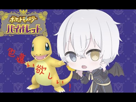 ポケモンバイオレット・ヒトカゲの色違い欲しい！たまご孵化！or雑談