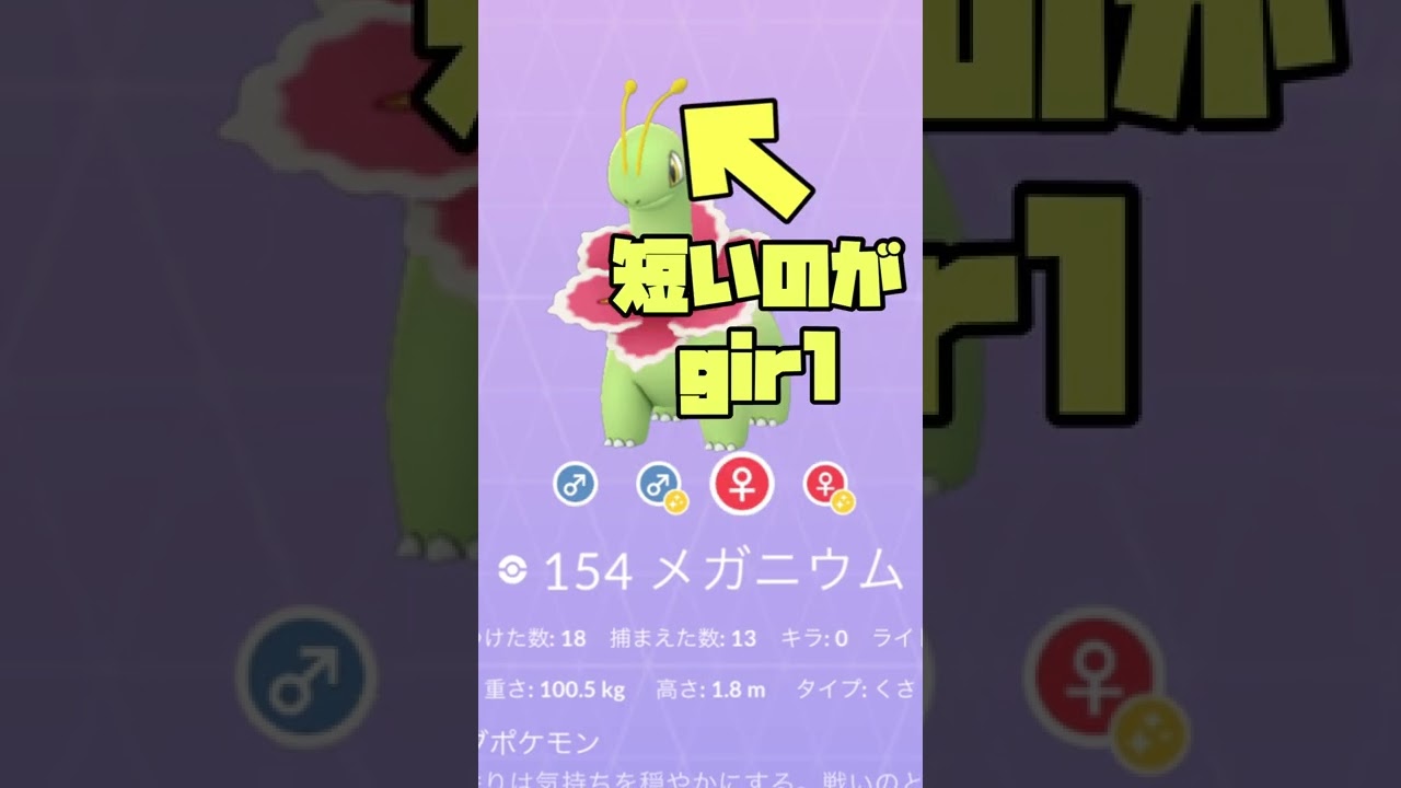 メガニウムのオスメスの見分け方！