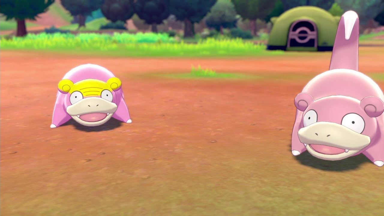 鎧の孤島解禁！ガラルヤドン・ヤドンとポケモンキャンプで戯れます【ポケモン剣盾/ソードシールド/鎧の孤島】