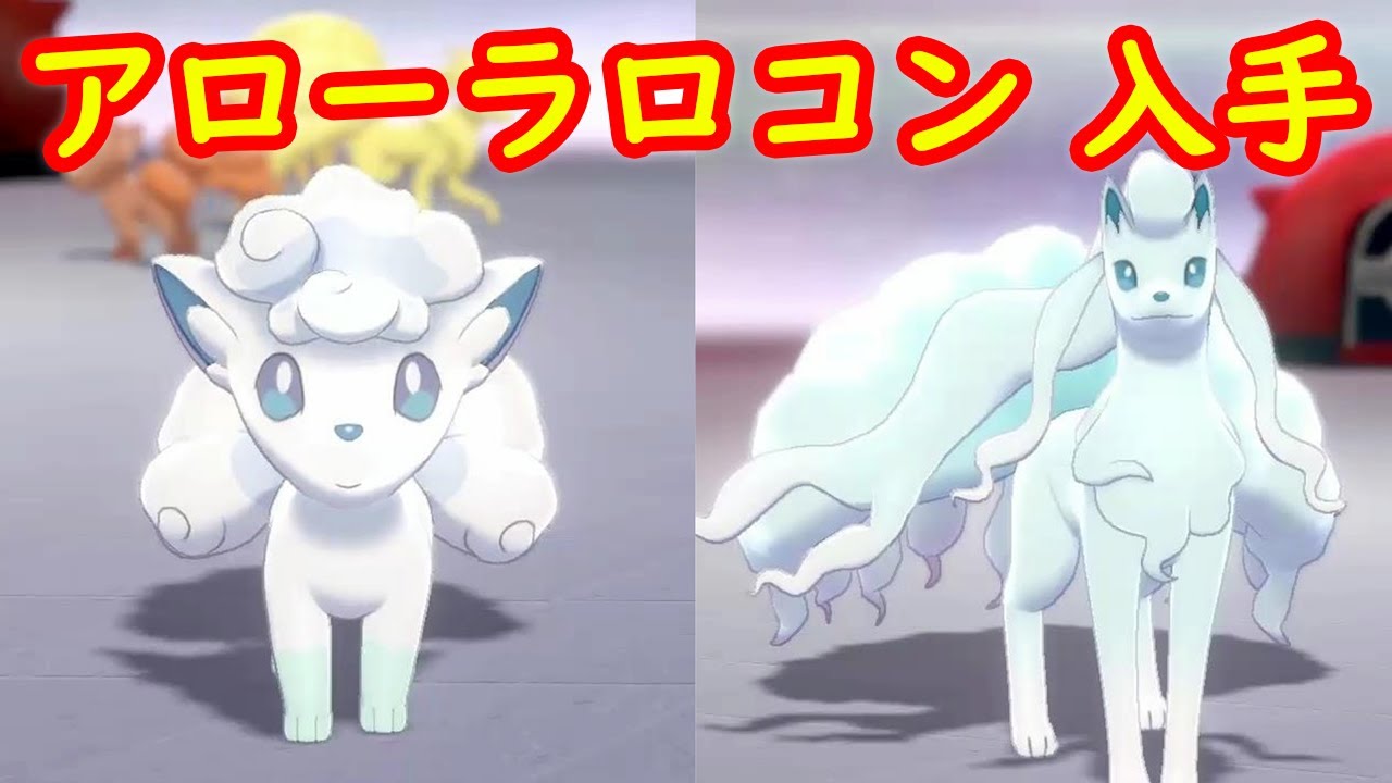 【アローラロコン → キュウコン】入手 攻略 + キャンプで遊ぶ【ポケモン剣盾 ポケモンHOME ポケモン ソード シールド 】