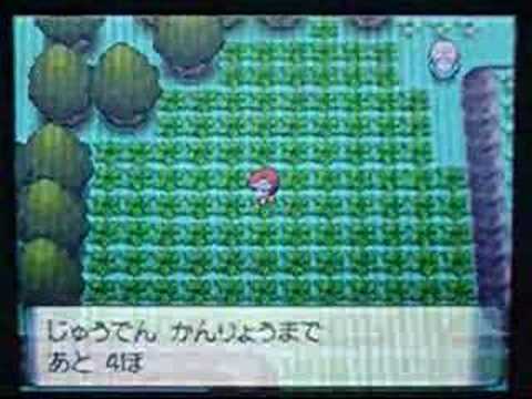 ポケトレ連鎖 #08 色違いネイティ出現 ポケモンダイヤモンド パール | Pokémon Diamond/Pearl Shiny Natu appeared