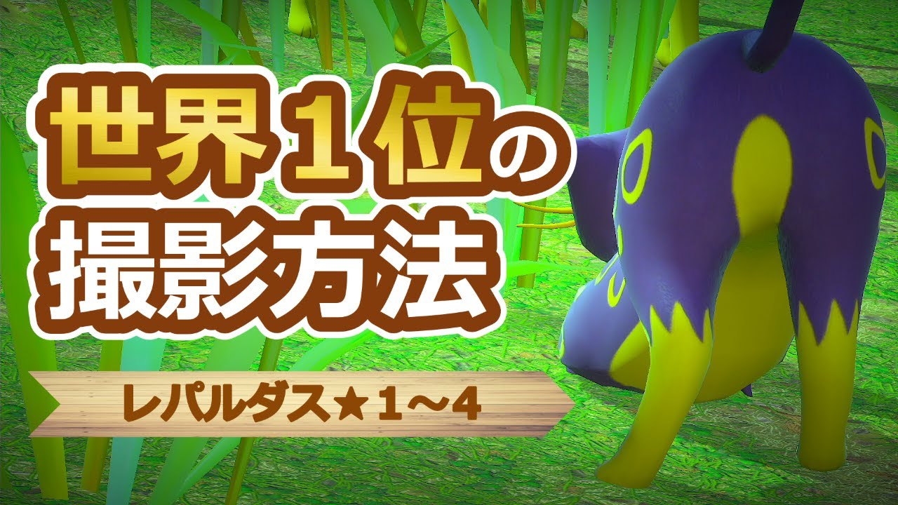 【Newポケモンスナップ】レパルダス★１~★４ 高得点撮影講座【ハイスコア/攻略】