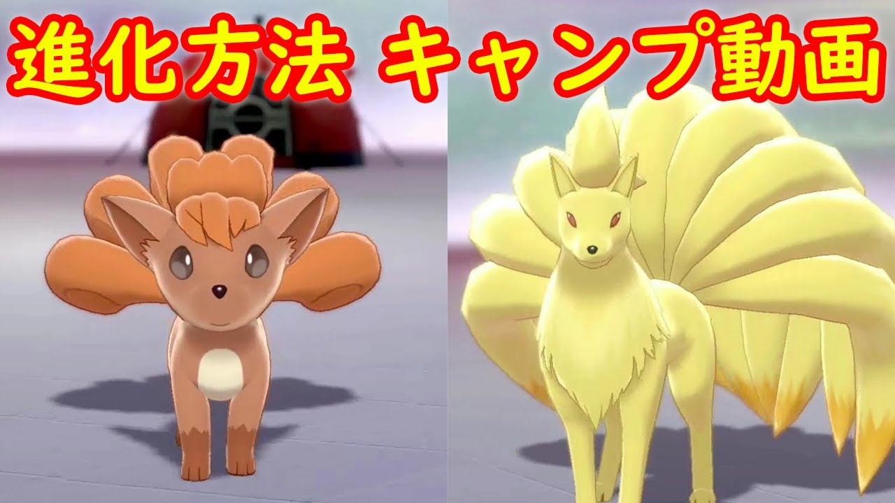【ロコン → キュウコン】進化方法 攻略 + キャンプで遊ぶ【ポケモン ソード シールド ポケモン剣盾】
