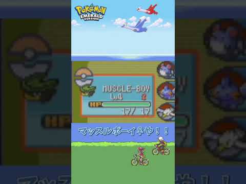 マッスルボーイと名付けたハスボーがメスだったシーン [エメラルド] #shorts