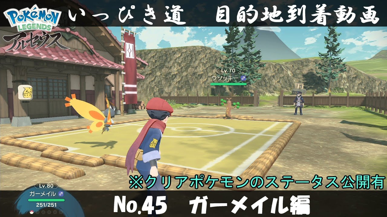 【いっぴき道攻略】No.45 ガーメイル編【Pokémon LEGENDS アルセウス】