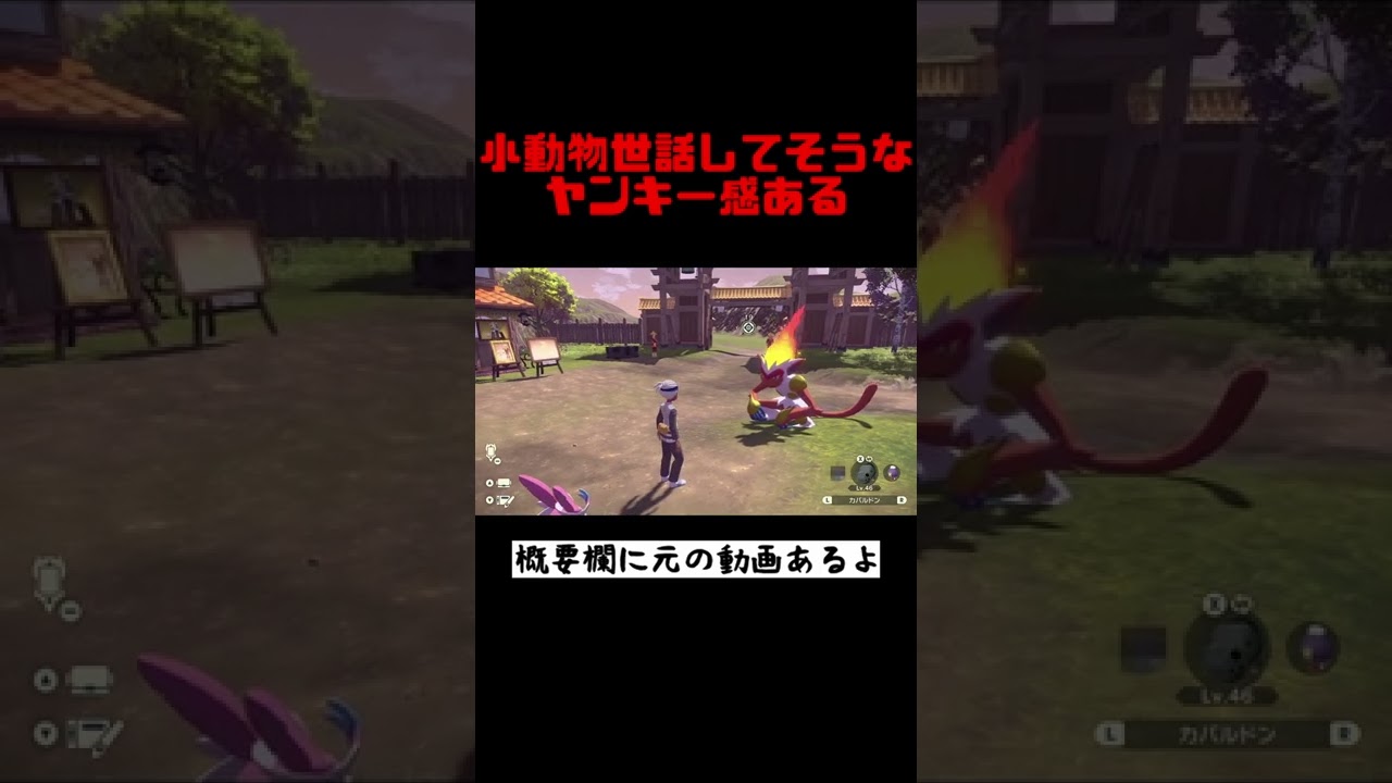 実は優しいヤンキー感あるゴウカザル【Pokémon LEGENDS アルセウス】　＃shorts