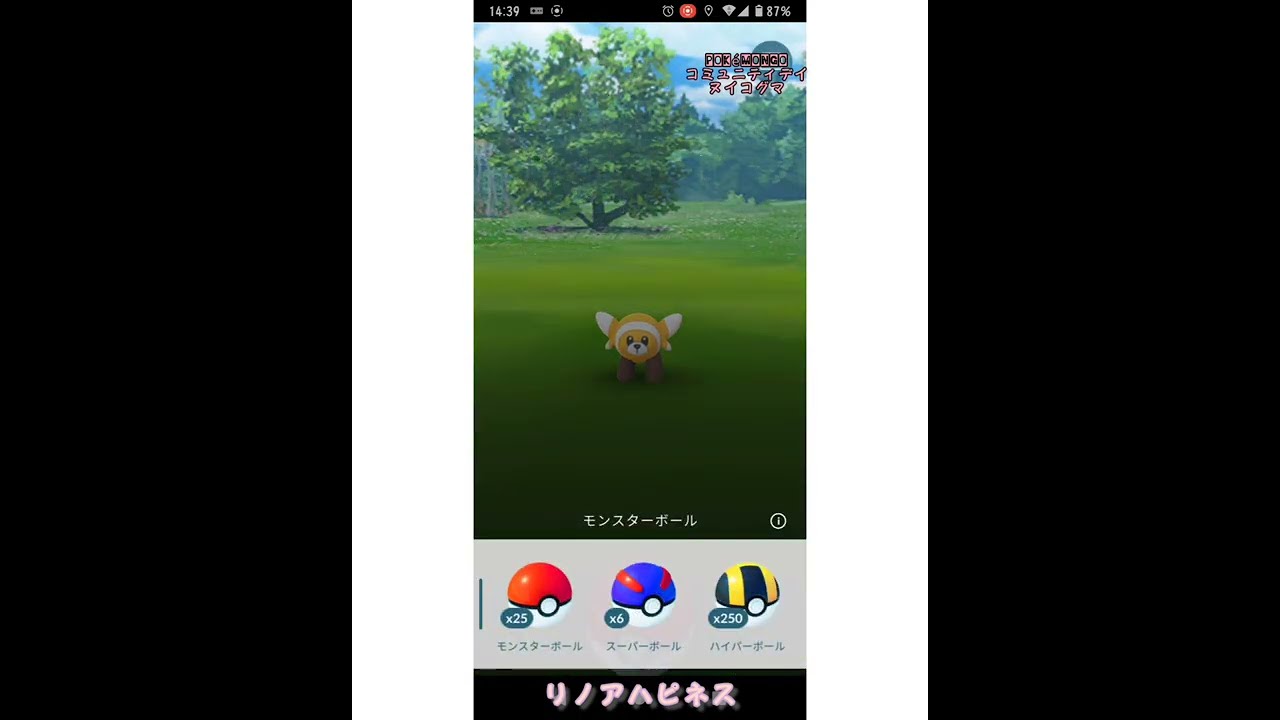 ポケGoでヌイコグマ初実装！イロチのゲットチャレンジ！！