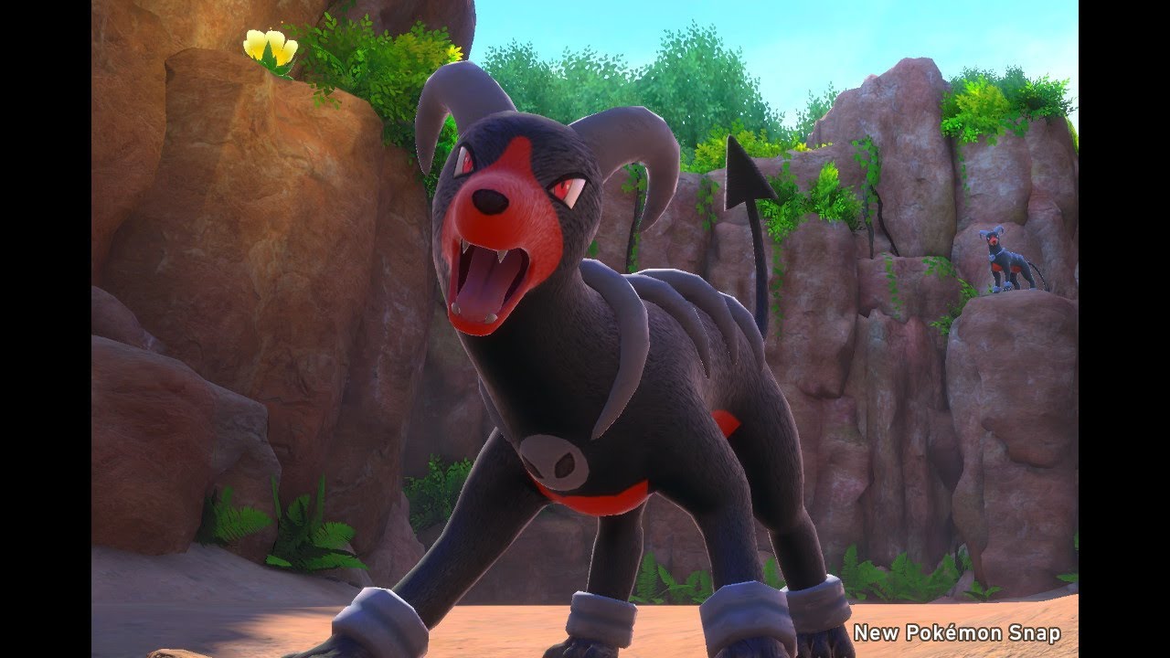 【Newポケモンスナップ】ヘルガーをドアップで撮る [ポケスナSwitch]