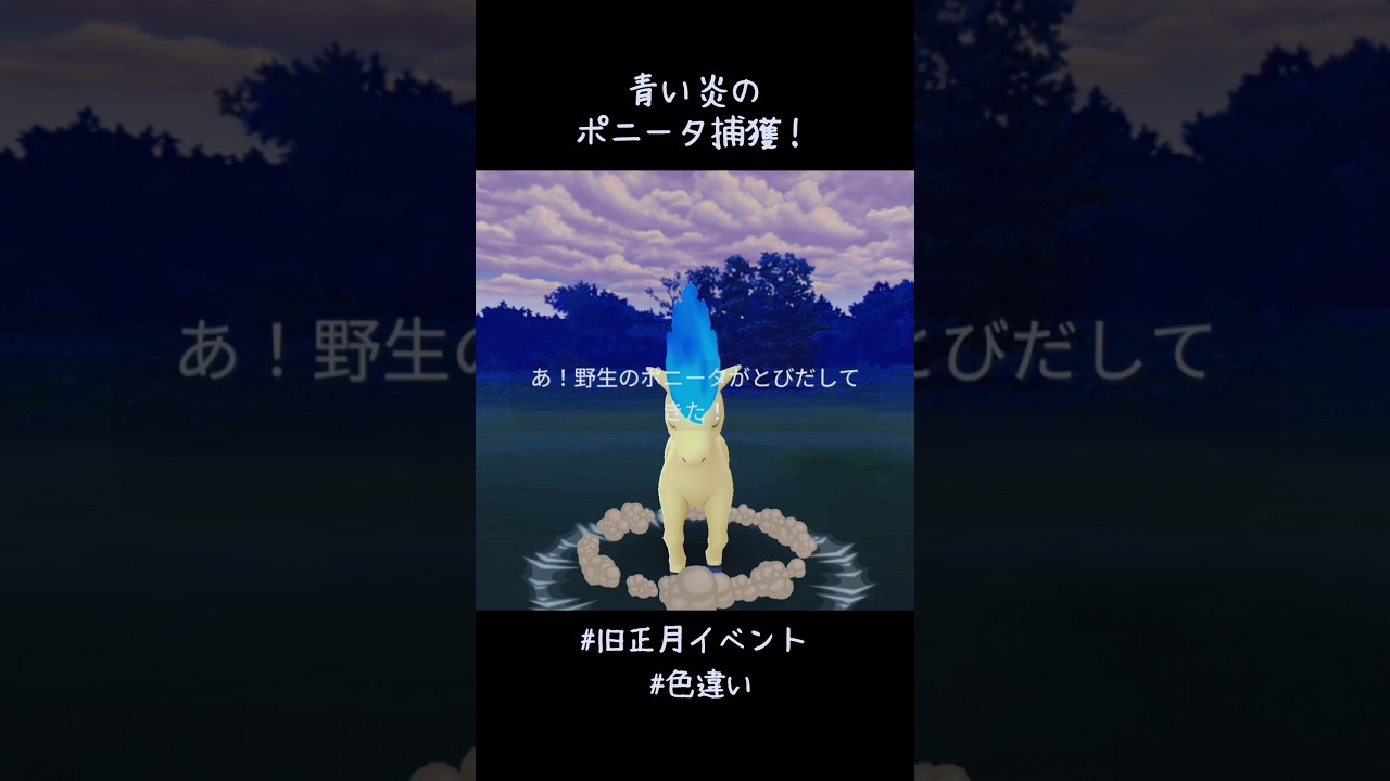 青い炎のポニータ捕獲✨✨✨どうしても青い炎を見るとヒロアカの荼毘を思い出しちゃう。この子もつらい過去を抱えてるのだろうか。#ポケモンGO #旧正月イベント #色違い